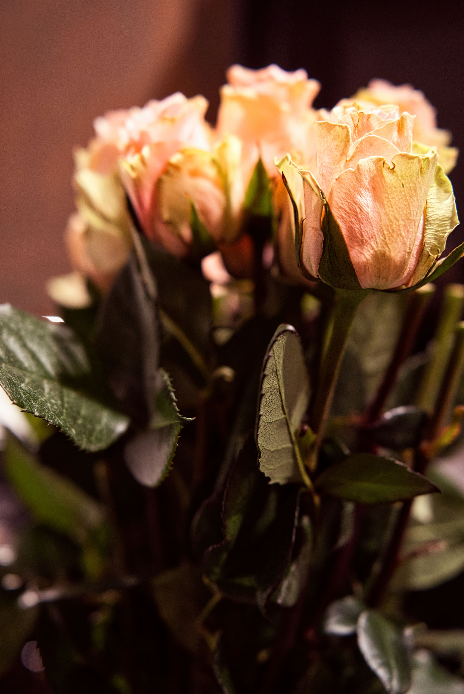Anjyle & Efren Wedding Photo 241